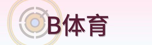 B体育 logo